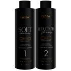 Ezzow Professionnel Ezzoplastia Capilar Premium Kit - 2x1L