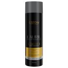 Ezzow Professionnel Lauril Descale Higienizante - 300ml