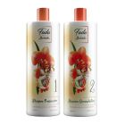 Paiolla Progressiva Fada Madrinha Shampoo e Máscara 2x300ml